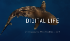 Digital Life: 디지털 노아의 방주