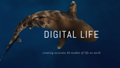 Digital Life: 디지털 노아의 방주