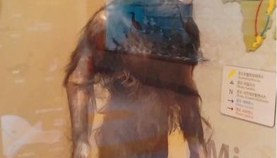 루시(Lucy), 사망원인과 3D프린팅