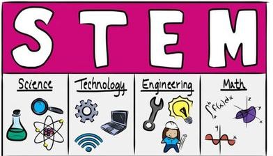 MakerGirl 의 STEM 교육 사례