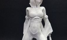 [3D프린터] 여전사 Akiko 출력 