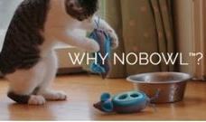 반려고양이를 위한 Feeding System, NoBowl 