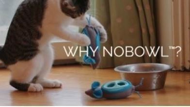 반려고양이를 위한 Feeding System, NoBowl 