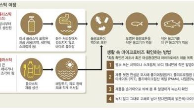 플라스틱으로부터 바다 살리기, 인간 살리기...