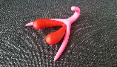3D프린터와 성(性)교육 