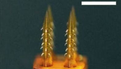 4D프린팅된 현미침(Microneedle) 