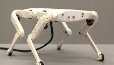 3D프린트한 로봇 개(Robot Dog)